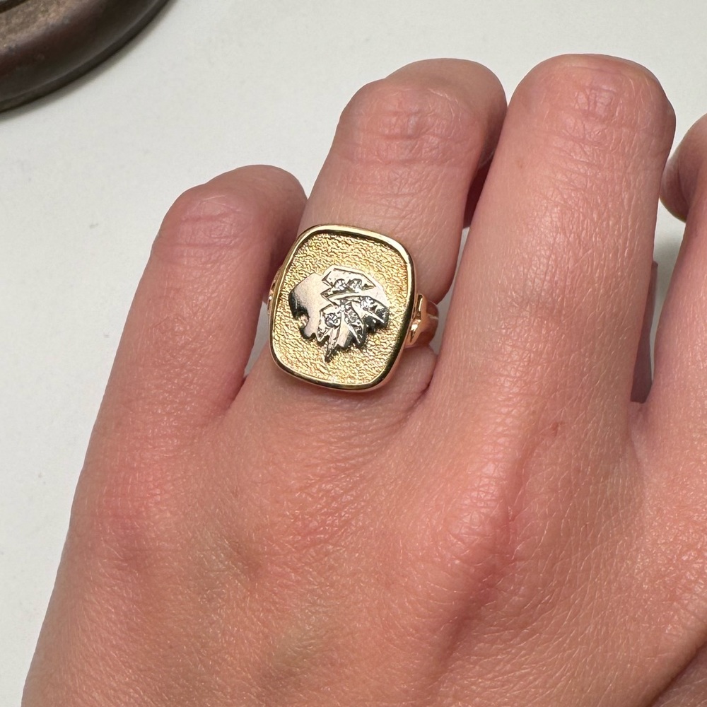14K Lion’s Head Signet Ring - Picture 4 of 6